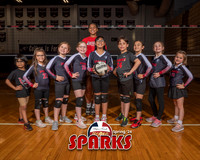 8x10_Sparks_s24 copy