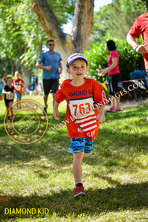20150606_DK-865