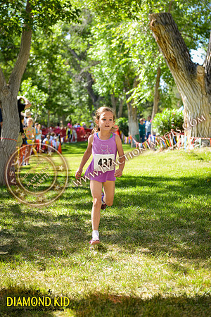 20150606_DK-768