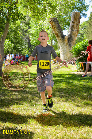 20150606_DK-560