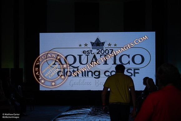 20240825_LVFashionWeek1_1758