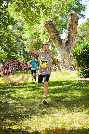 20150606_DK-403