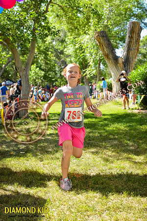 20150606_DK-786