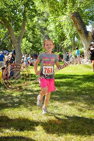 20150606_DK-785