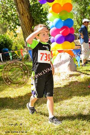 20150606_DK-889
