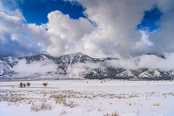20191129-Snow-16