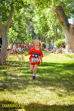 20150606_DK-803
