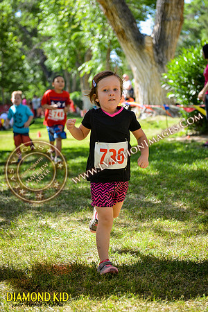 20150606_DK-868