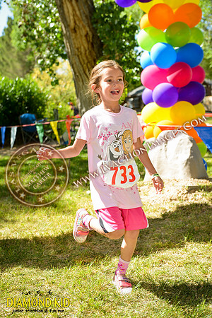 20150606_DK-907