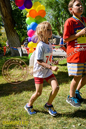 20150606_DK-849