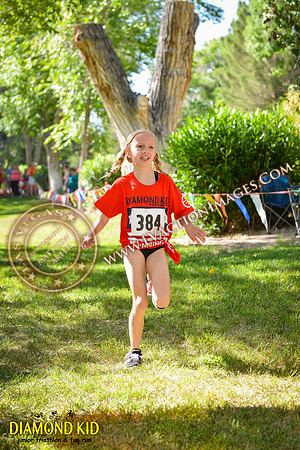 20150606_DK-315