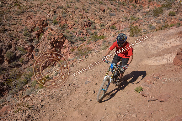 20140118_NVDHChampDHP-285