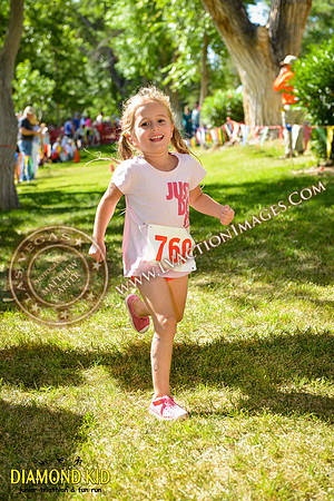 20150606_DK-782