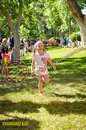 20150606_DK-780