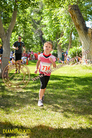 20150606_DK-890