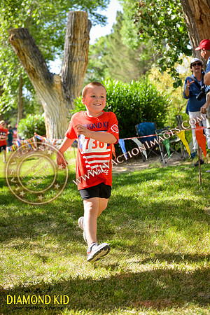 20150606_DK-741