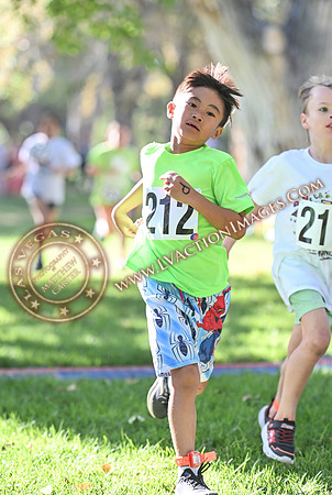 20240914_DiamondKid_0259