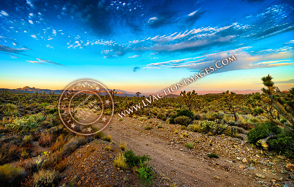 20200712-mojave-30a