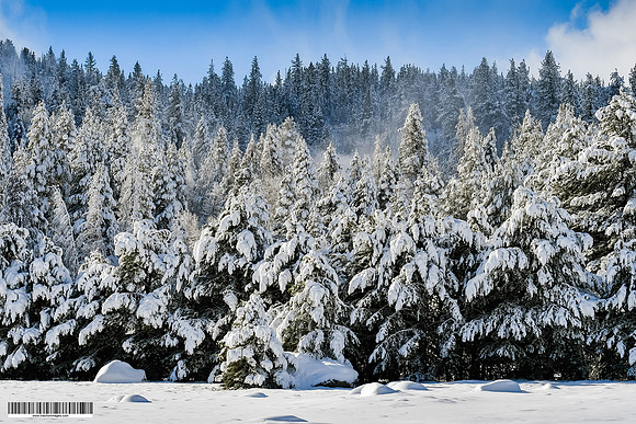 20181122_firstsnow