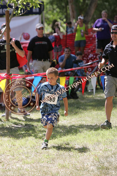 LL8X4003