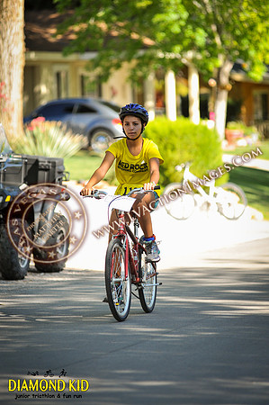 20150606_DK3-305