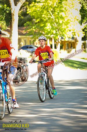 20150606_DK3-330