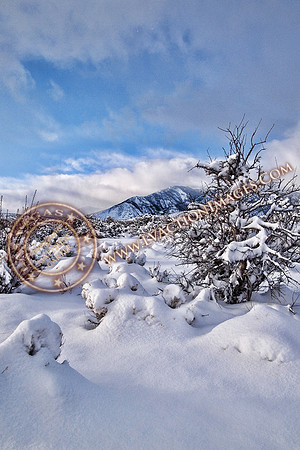 SnowField