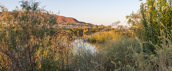 20220826-wetlands-4