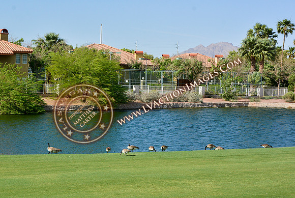 20140519_ACF-0183