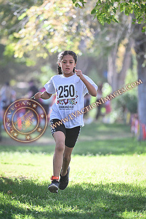 20240914_DiamondKid_0354
