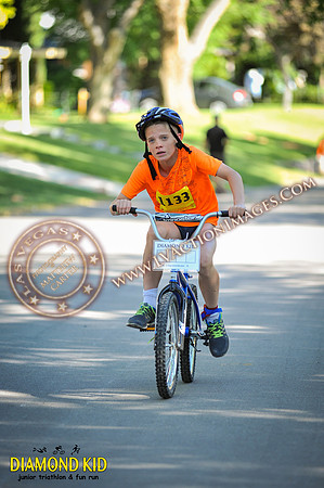 20150606_DK3-230