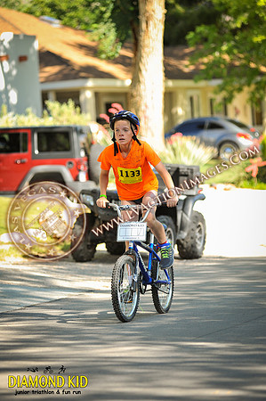 20150606_DK3-324