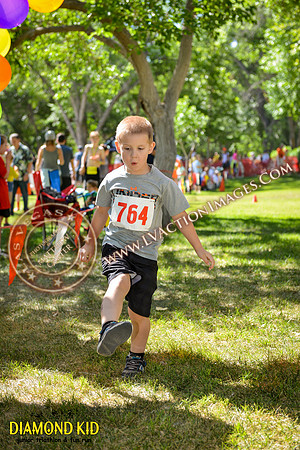 20150606_DK-800
