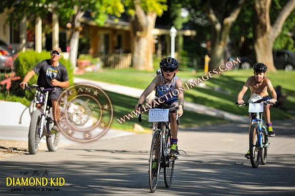 20150606_DK3-382