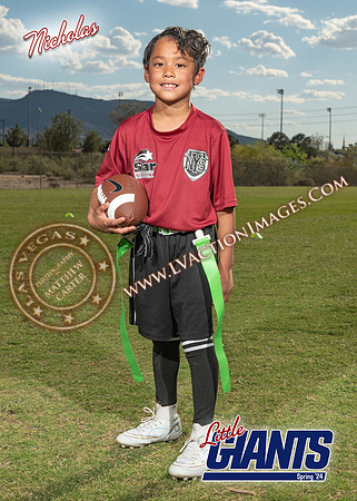 Wallets_NicholasSD_S24 copy