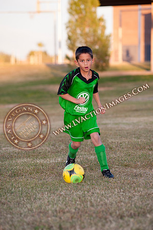 120131010_Monsters-26