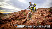 Mob N Mojave