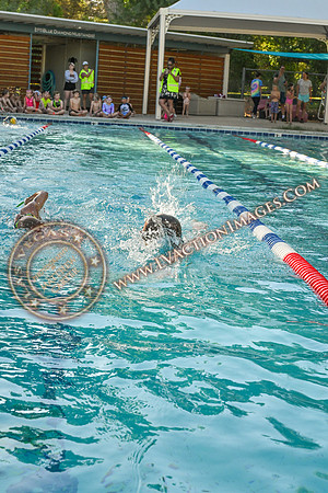 20240914_DiamondKid_0135