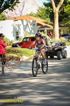 20150606_DK3-332