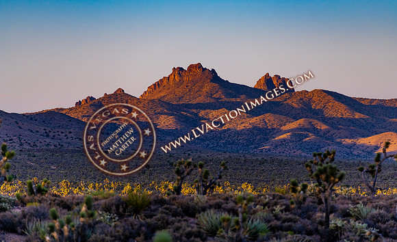 20200712-mojave-39