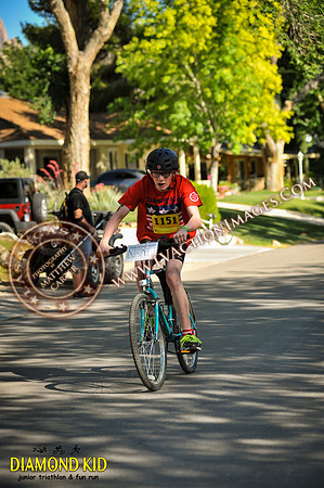 20150606_DK3-388