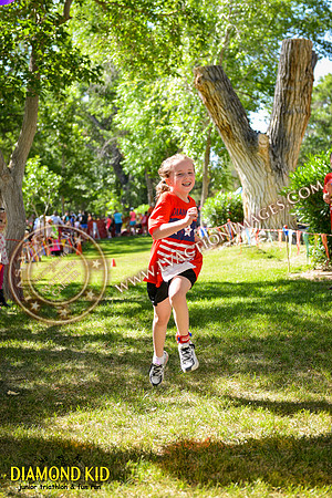 20150606_DK-2043