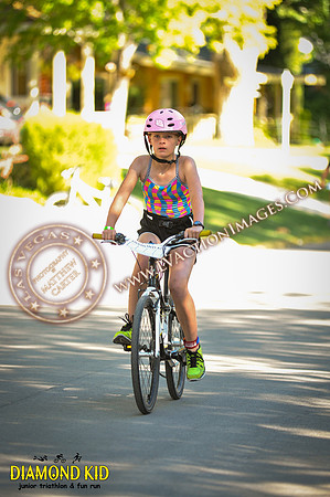 20150606_DK3-353