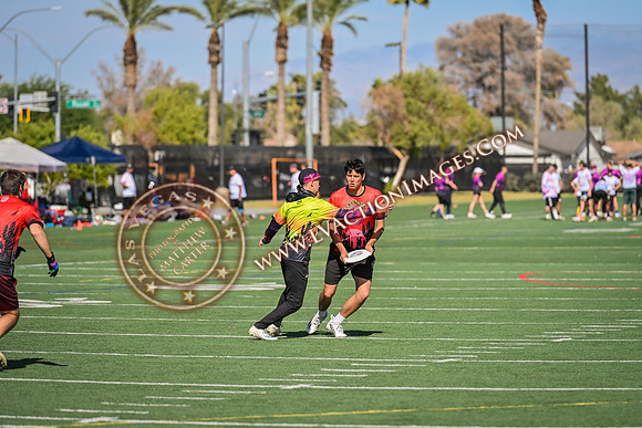 20241102_Lucky7s2024_2527